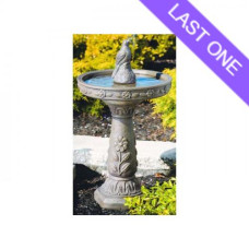 Daisy Birdbath