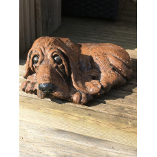 Bloodhound