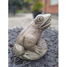 Frog Pond Fountain